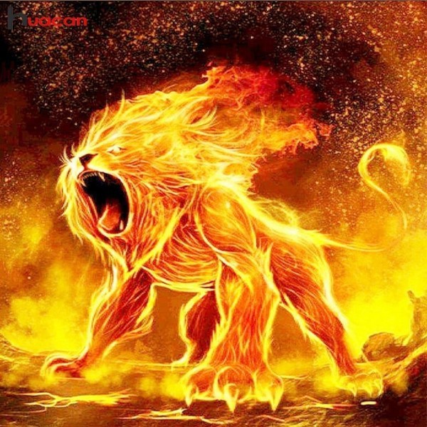 Lion Fire