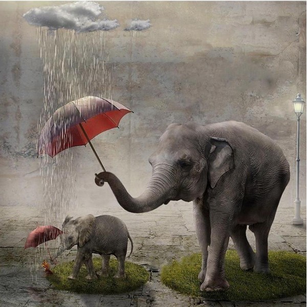 Singing in the Rain round