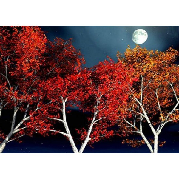 Moon On the Rise round