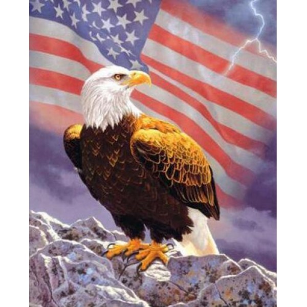 Freedom Eagle square