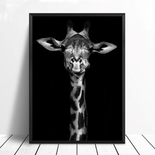 Giraffe Portrait