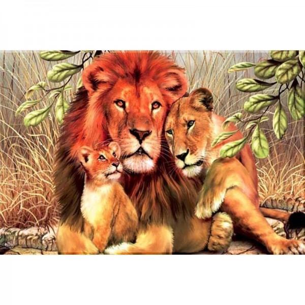 Lion Family