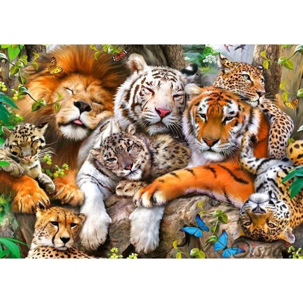 Jungle Cats