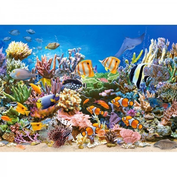 Sea Tropical Fish square