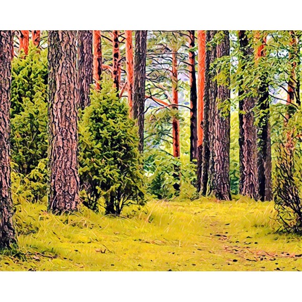 The Woods Diamond Art Kit