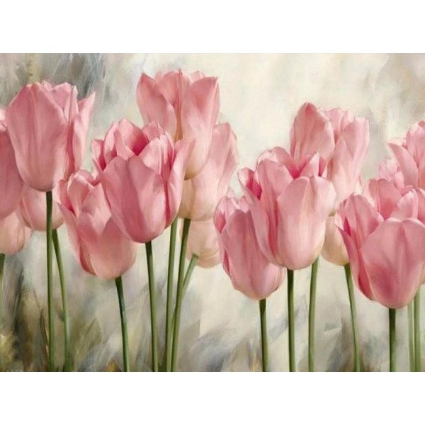 Dutch Tulips