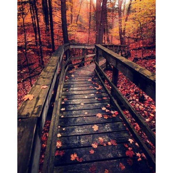 Foot Bridge Diamond Painting