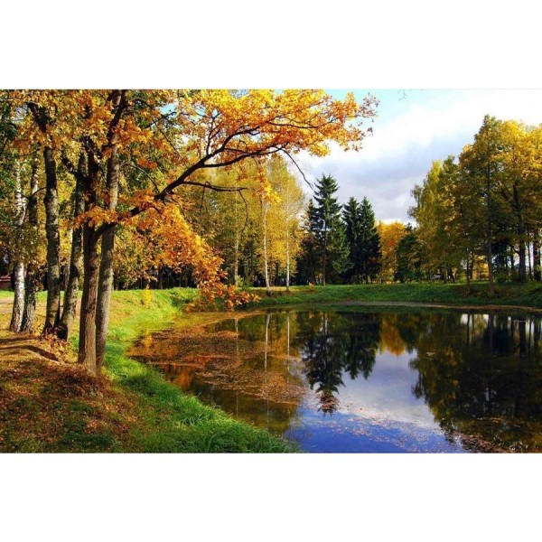 Park Lake Diamond Paintings