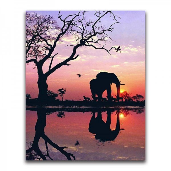 Sunset Elephant