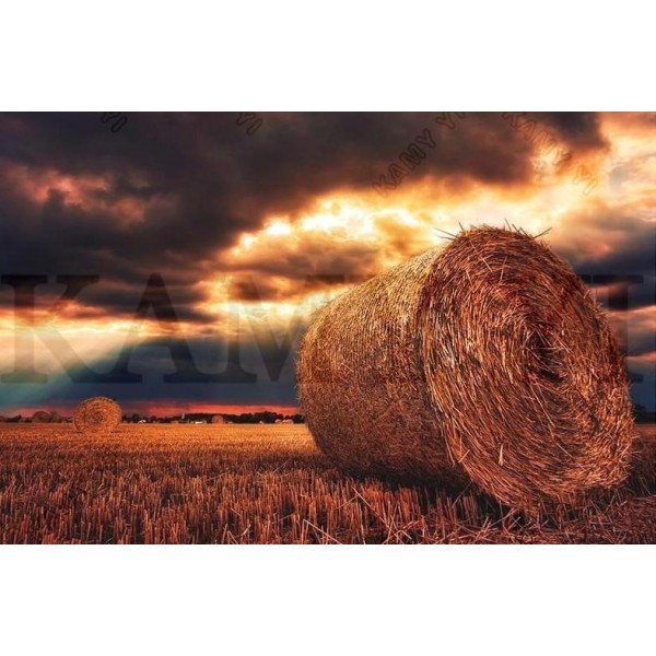 Sunset Scenery Diamond Painting