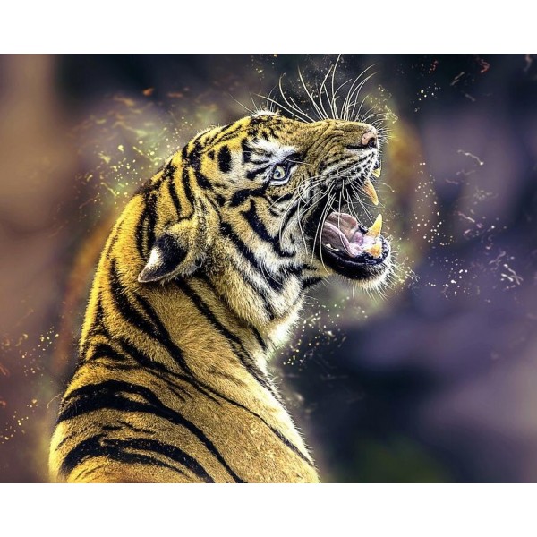 Roar Diamond Art Kit