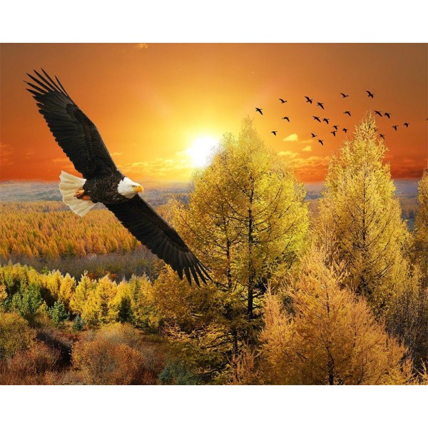 Soaring Heights Diamond Art Kit