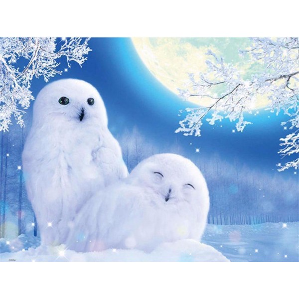 Snowy White Owls square