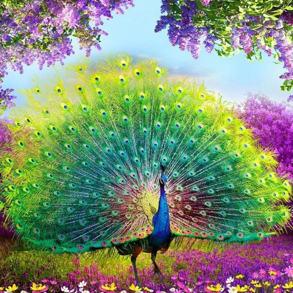 Peacock Wonder Diamond Painting