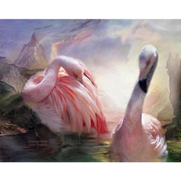 Lovely Swans