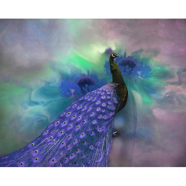 Magnificent Bird Diamond Painting