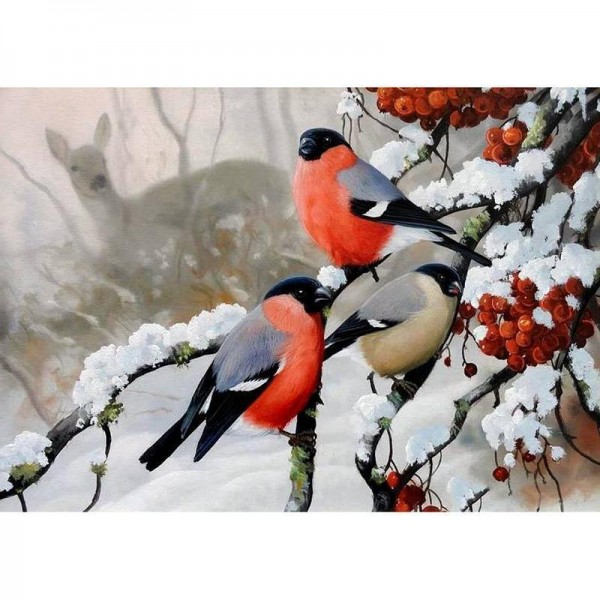 Winter Birds Diamond Painting square