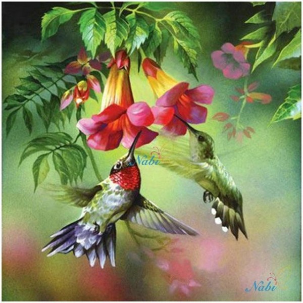 Multiple Bird Diamond Paintings