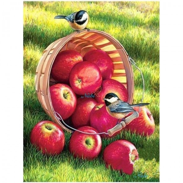 Multiple Bird Diamond Paintings