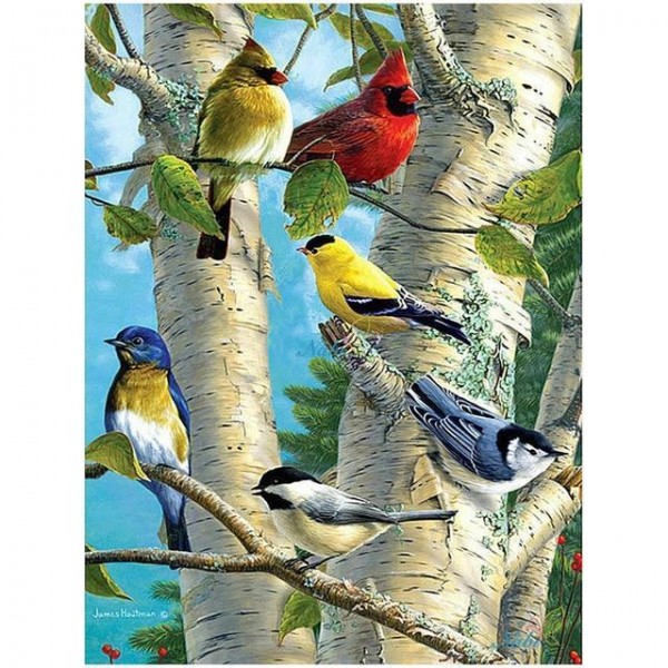 Multiple Bird Diamond Paintings