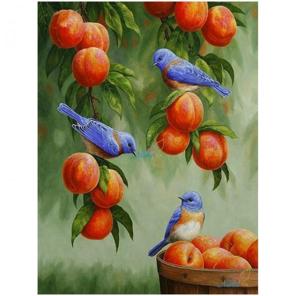 Multiple Bird Diamond Paintings