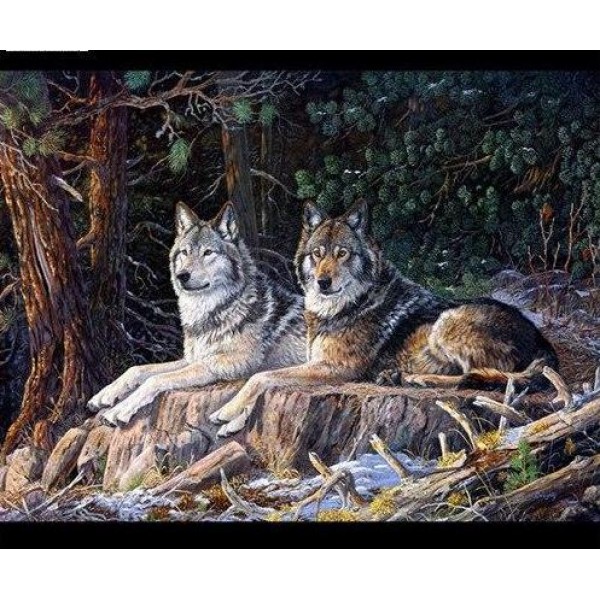 Two Wolves Resting square