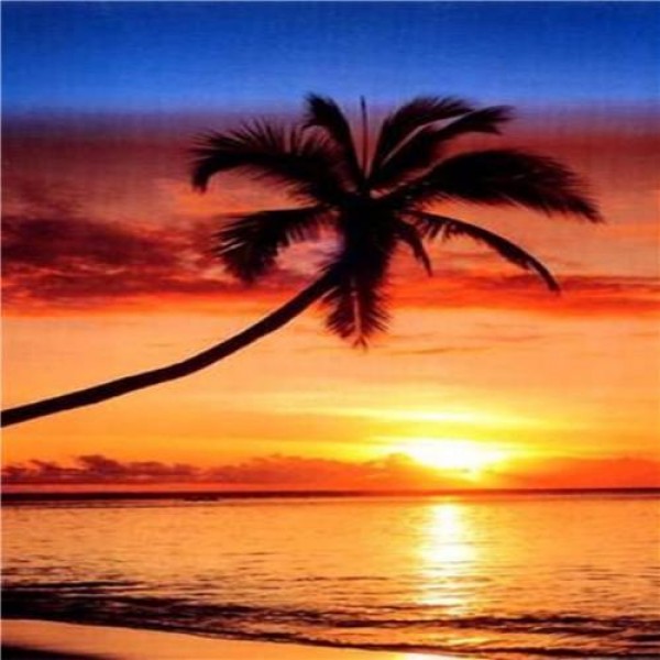 Palm Tree Sunset Diamond Painting