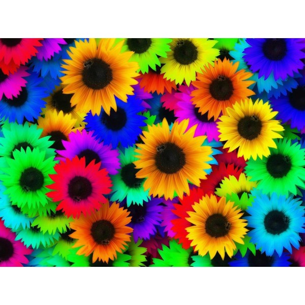 Rainbowflowers Diamond Painting