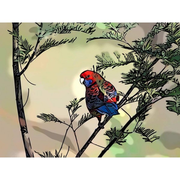 Songbird Diamond Painting