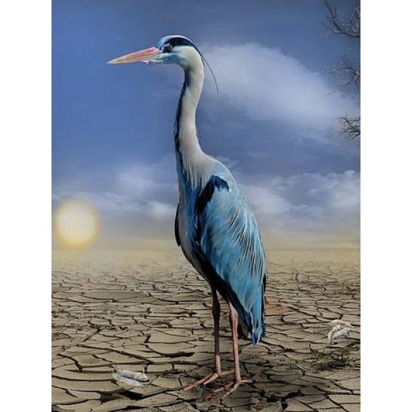 Stranded Diamond Painting