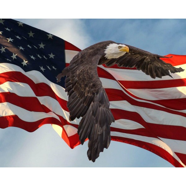 Spirit Diamond Painting