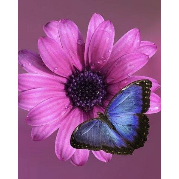 Mist Diamond Painting