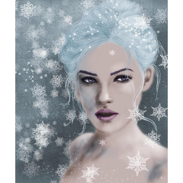 Winteress Diamod Art