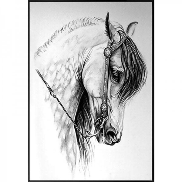 Horse Drawing