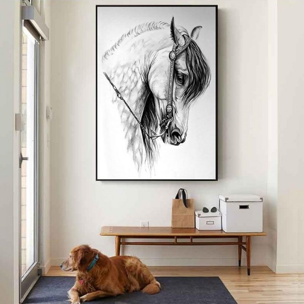 Horse Drawing