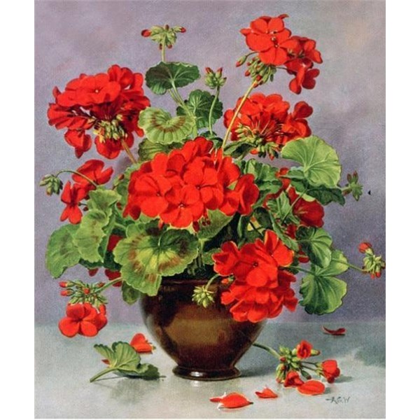 Red Flowers Diamond painting square