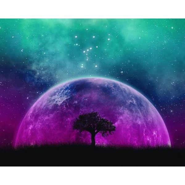 Supernatural - Ships from U.S.