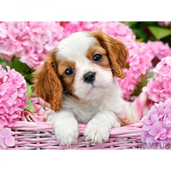 Cute Little Puppy Diamond Painting