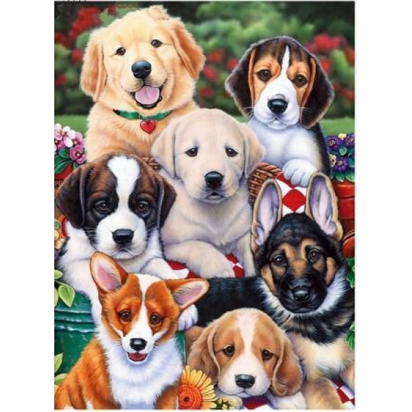 Dogs, Dogs, Dogs Diamond Painting