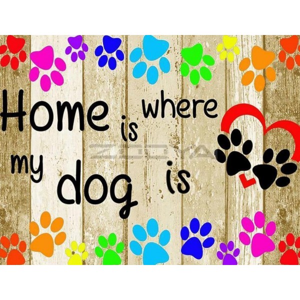 Home is Where The Dog Is