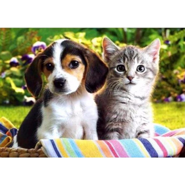 Puppy and Kitty Diamond Painting