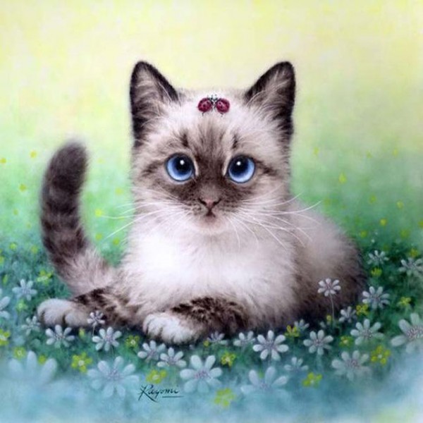 Pretty Kitty Diamond Painting