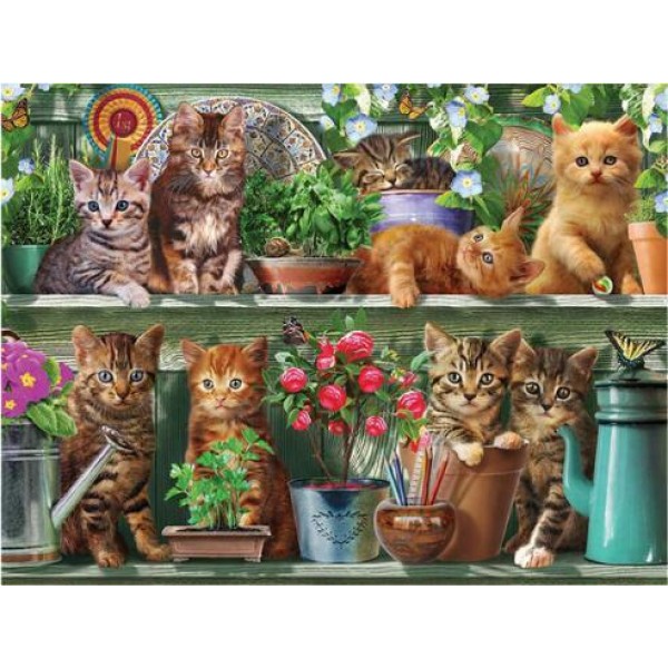Kittens on a Shelf Diamond Painting