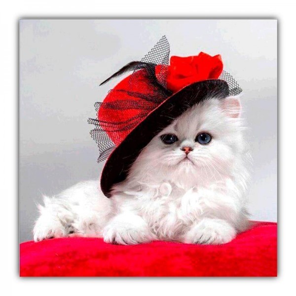 White Cat Hat