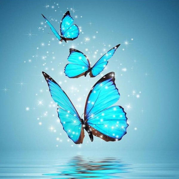 Amazing Flying Butterflies