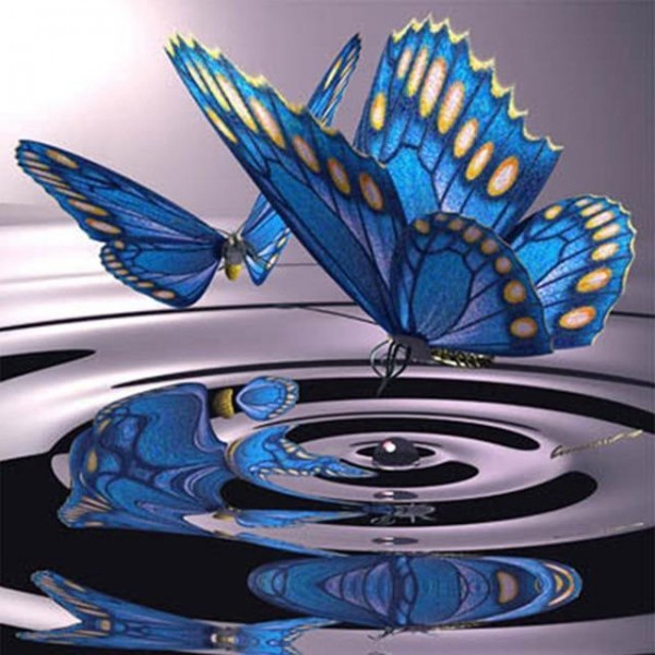 Butterfly on the Water Diamond Painting