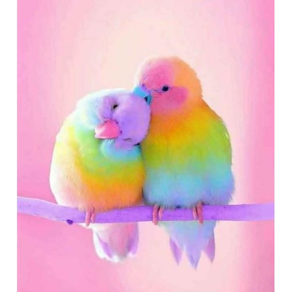 Colored Bird Diamond Painting