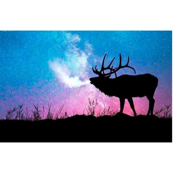 Elk at Sunset Diamond Painting square