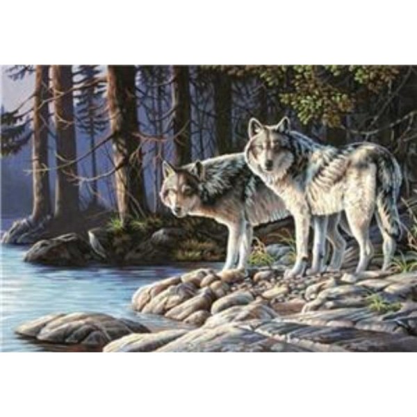Two Wolves Diamond Painting