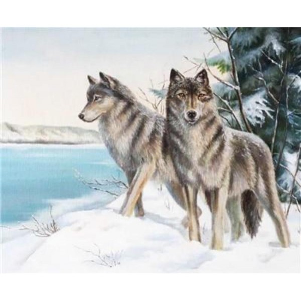 Two Wolves in the Snow Diamond Painting